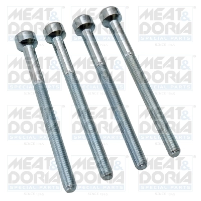 Screw, injection nozzle holder